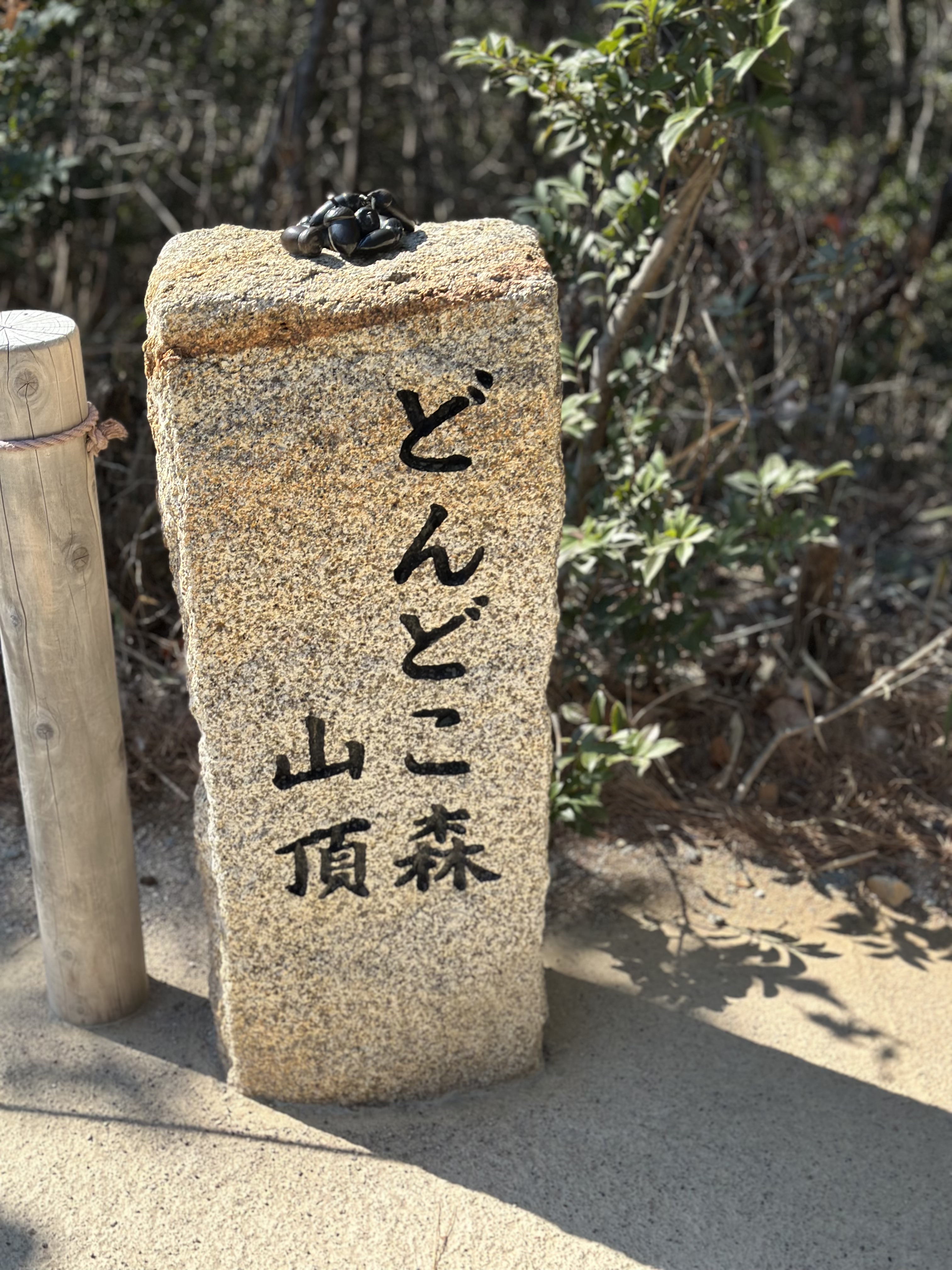 龙猫的家——Dondoko森林山顶,每个石碑上都有龙猫爱吃的橡果装饰。(赵琬仪摄)