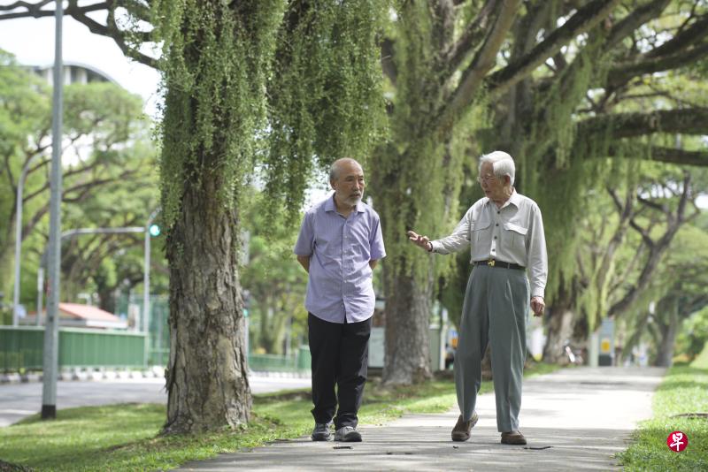 林方（右）带林高去看一棵雨树说，树下一等40年。（徐伏钢摄影）