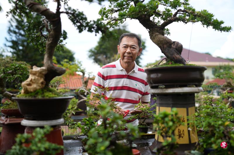 莫壮廷是本地数一数二的盆栽大师，他为客户提供盆栽整修与寄宿服务。