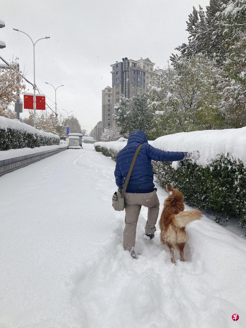 老天待我不薄，竟让我经历了报道中“百年一遇”的特大暴雪。银装素裹中，我和我家狗子一样开心。（张鹤杨摄）