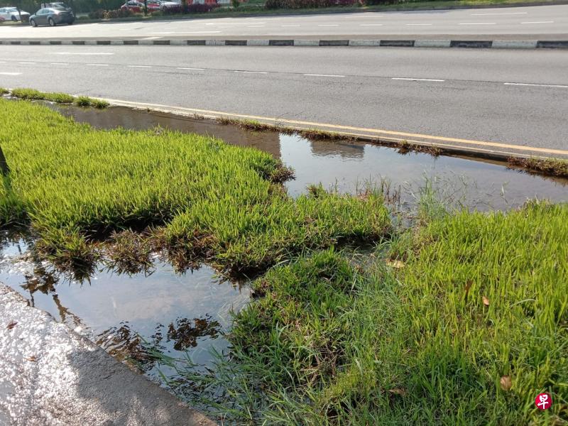 淡滨尼矿湖出现漫堤现象，湖水溢流到淡滨尼10道旁边的人行道。（作者提供）