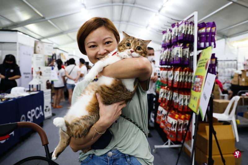 猫主蒙俐桦认为，只要能负起责任，确保自己的宠物猫不会在组屋区游荡，为邻居造成不便，在组屋单位养猫应被允许。（蔡家增摄）