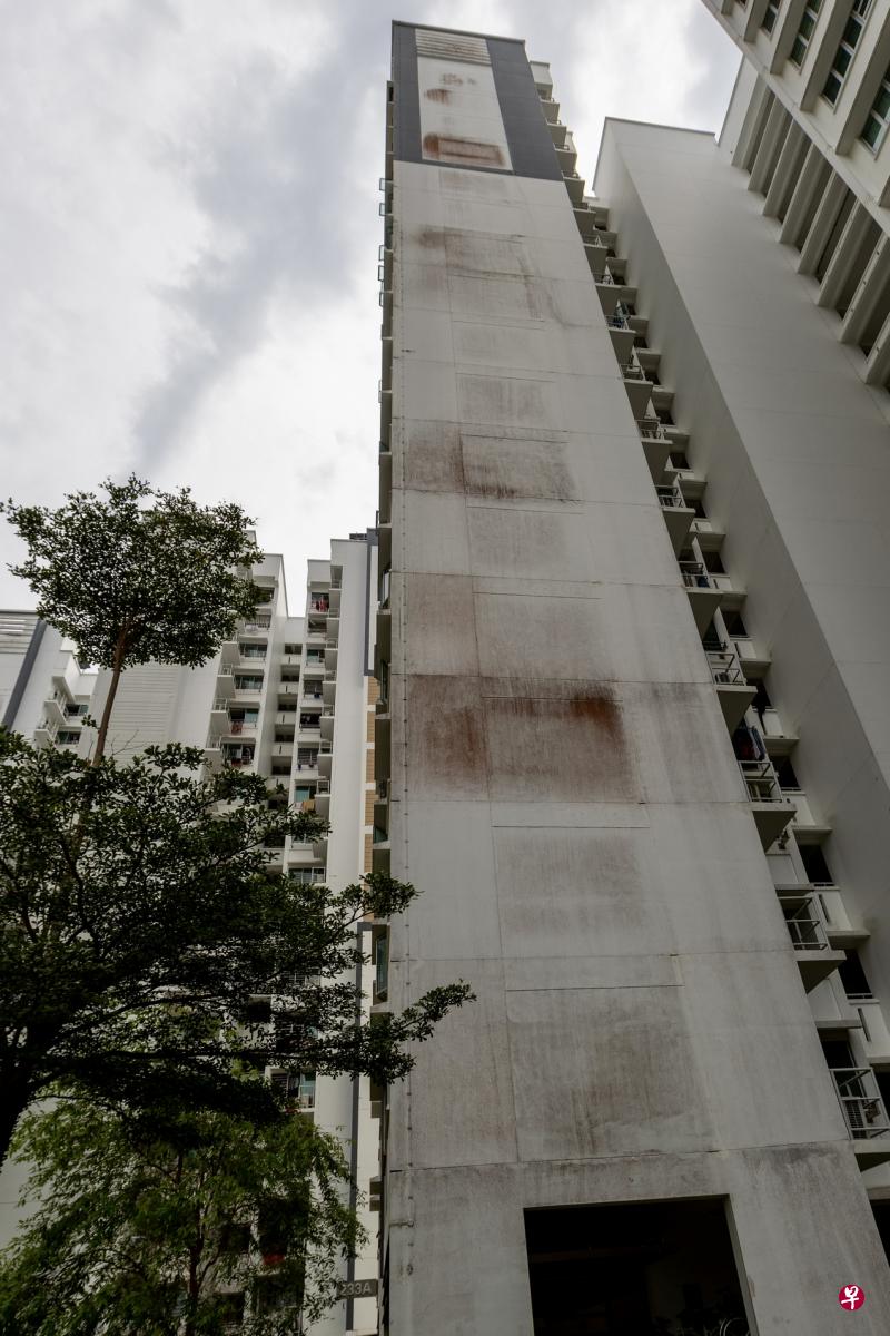 专家指靠近榜鹅河道的盛港和榜鹅组屋外墙斑驳发霉，很可能是环境较潮湿及承包商使用较低质量的油漆所致。（张思庆摄）