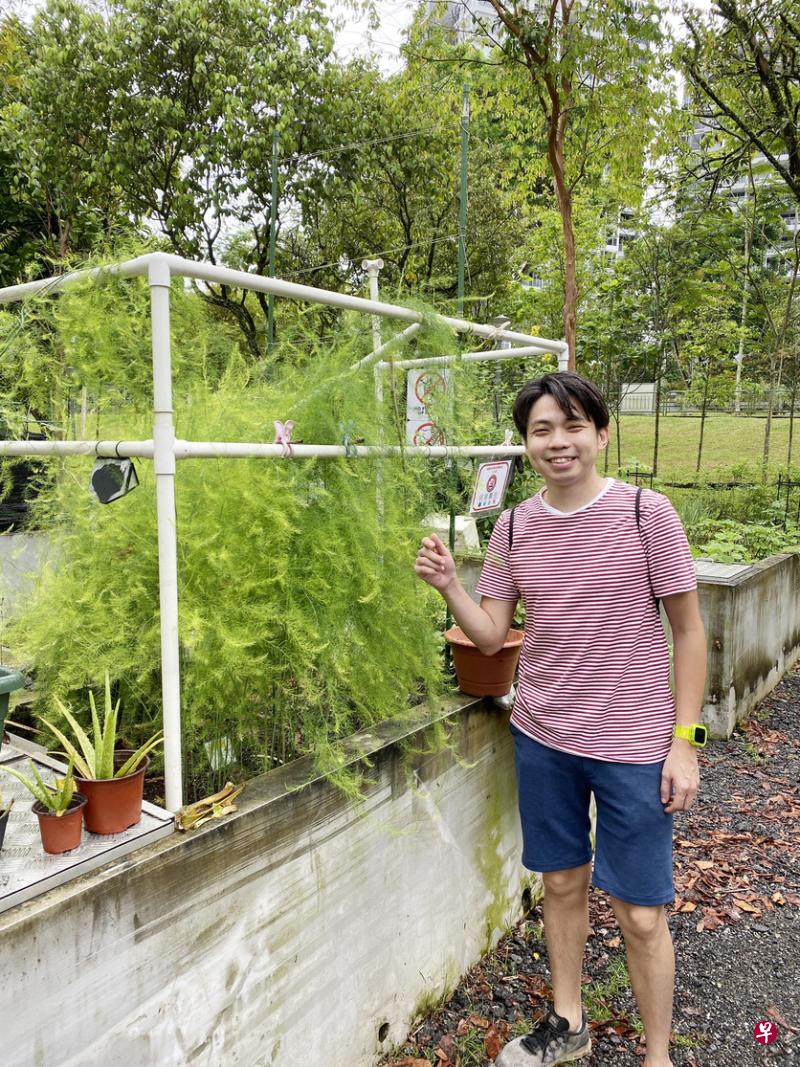 曾俊豪租用花床，种植多种蔬菜香料。为了鼓励更多人尝试种植蔬菜，他在社交媒体上分享蔬果种植贴士和心得。（受访者提供）