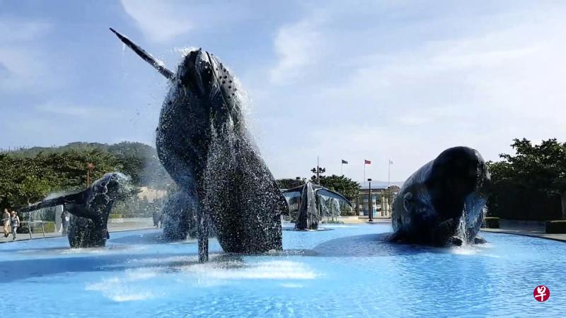 台湾海洋生物博物馆入口处，“鲸鱼亲水广场”的等比例鲸鱼雕塑，展现大翅鲸跟幼鲸跃出水面的自在英姿。（作者提供）