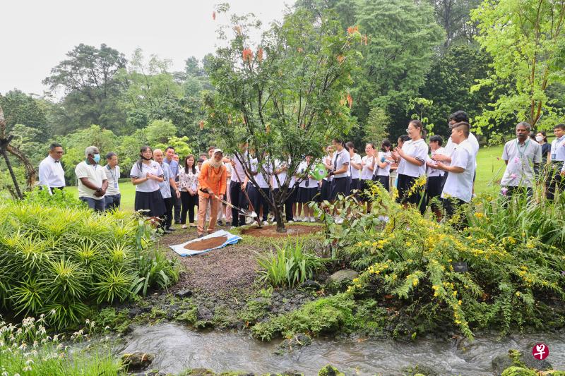 哈莉玛总统（前排拿铁锨者）与受邀参观总统府的达善中学学生一同在新建的人造小溪旁植树。（唐家鸿摄）