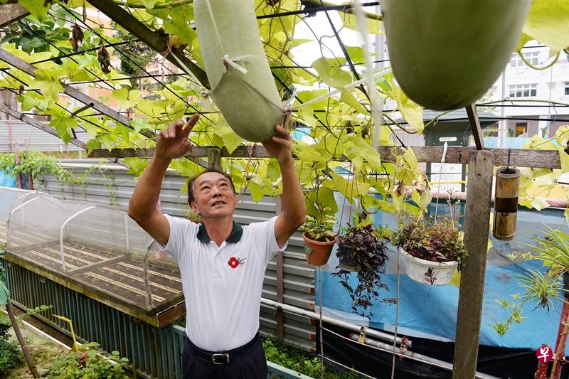 夏其凌退休后 积极当个“社区园丁”， 至今已种植超过 130种植物。