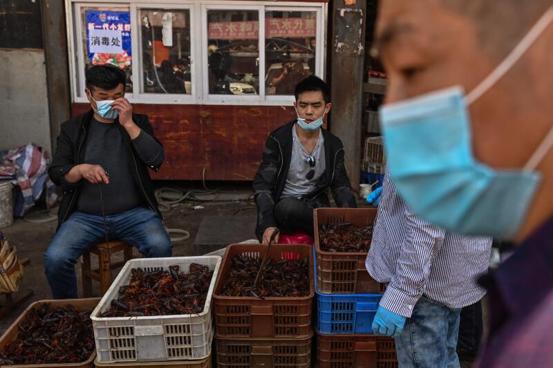 自被广泛怀疑源自武汉华南市场的2019冠状病毒疾病，于去年12月暴发以来，公共卫生和动物权利支持者，就一直呼吁严加检查“海鲜市场”。（法新社）