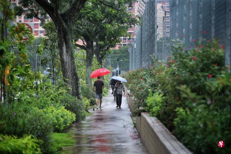 全岛多处下雨气温也随之降低。（档案照） 