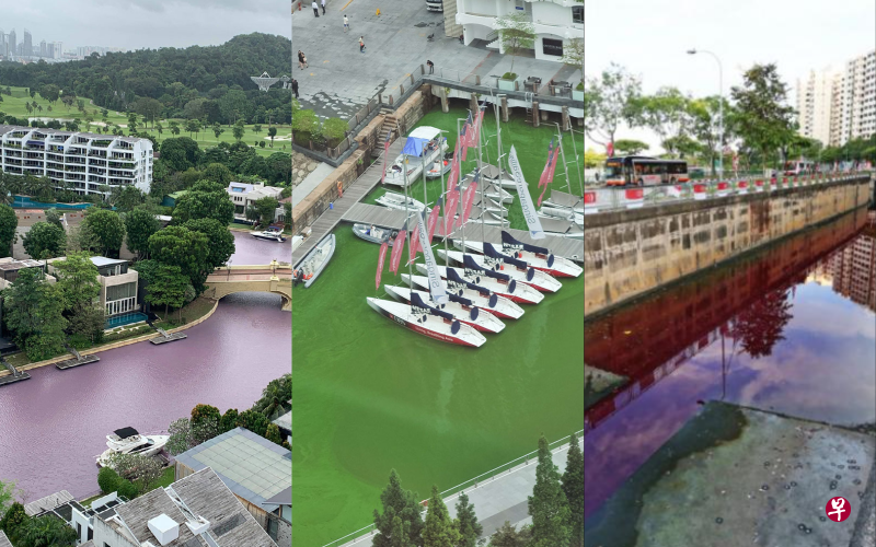 本地多处水域曾出现水体变色事件，其中包括本周圣淘沙升涛湾南部水道水体变成紫粉色（左）、滨海湾部分水面在2015年出现绿潮（中）以及裕廊西一处排水沟在2015年曾经一度变成红色。（早报制图）