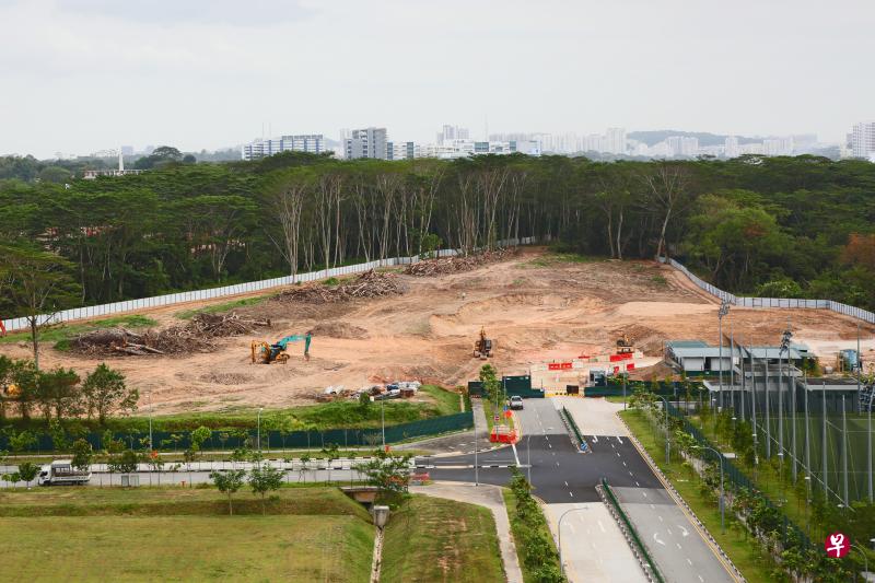 政府严正看待克兰芝林地大面积清除事件，反映了国人对环保课题的关注，尤其是年轻的一代。（档案照）