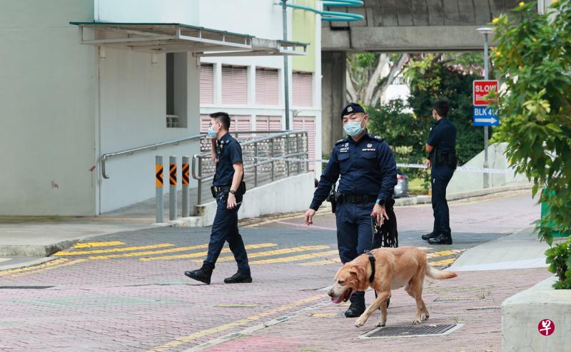 警方当时出动警犬到场调查。（档案照） 